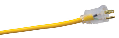 Southwire 100-Foot All-Weather 16/3 Extension Cord with Lighted End, 01289
