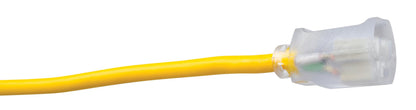 Southwire 100-Foot All-Weather 16/3 Extension Cord with Lighted End, 01289