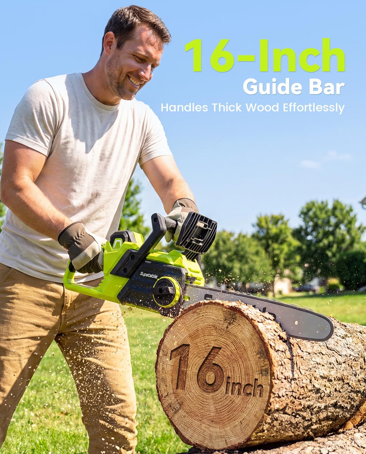 Mini Chainsaw Cordless, 8 Inch & 6 Inch Electric Chainsaw Battery Powered, 1000W Brushless Handheld Power Chain Saw with 2 Batteries, Small Tree Saw for Branch Trimming Wood Cutting