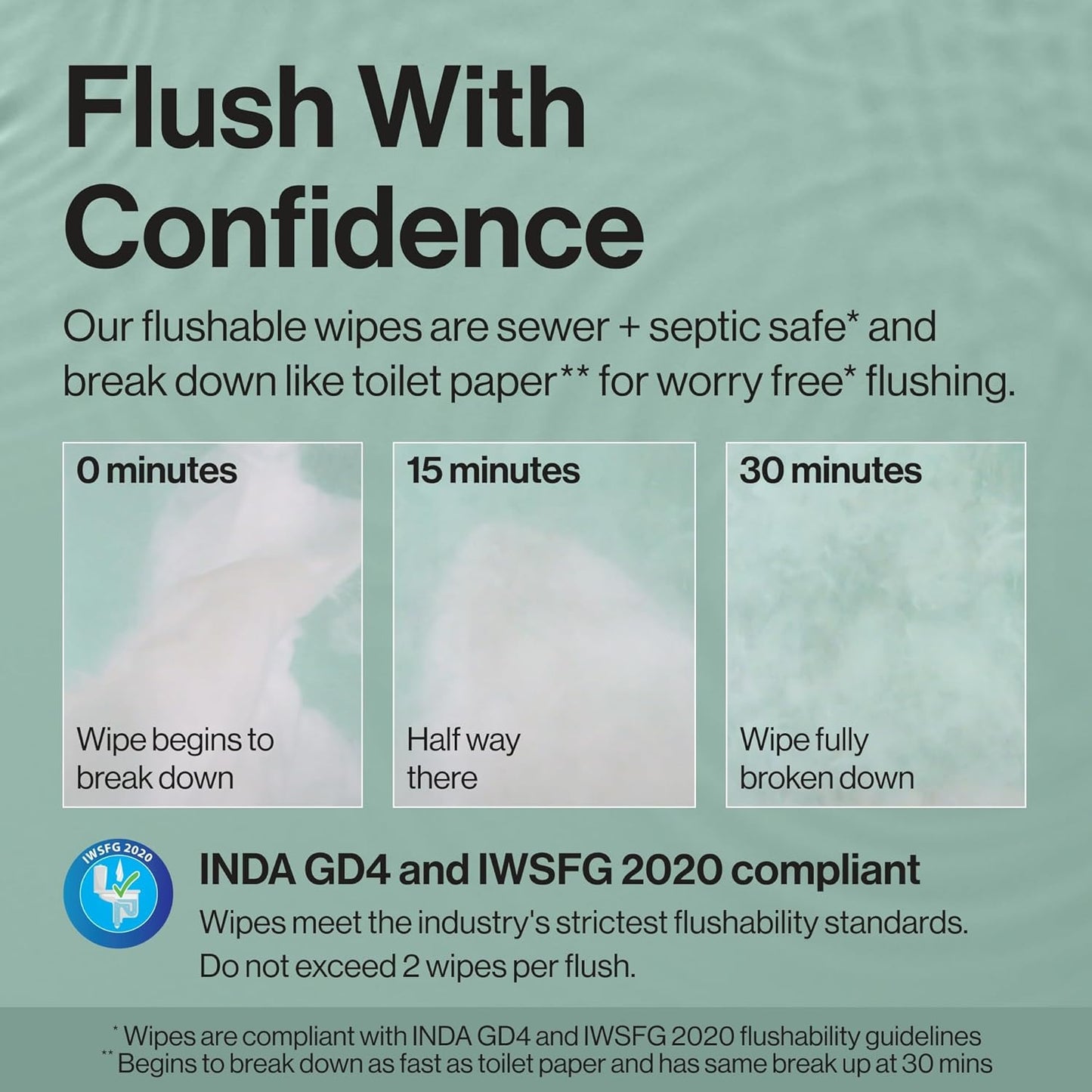 The Honest Company Hypoallergenic Flushable Wipes for Sensitive Skin, Gilded Wings, 42 Count