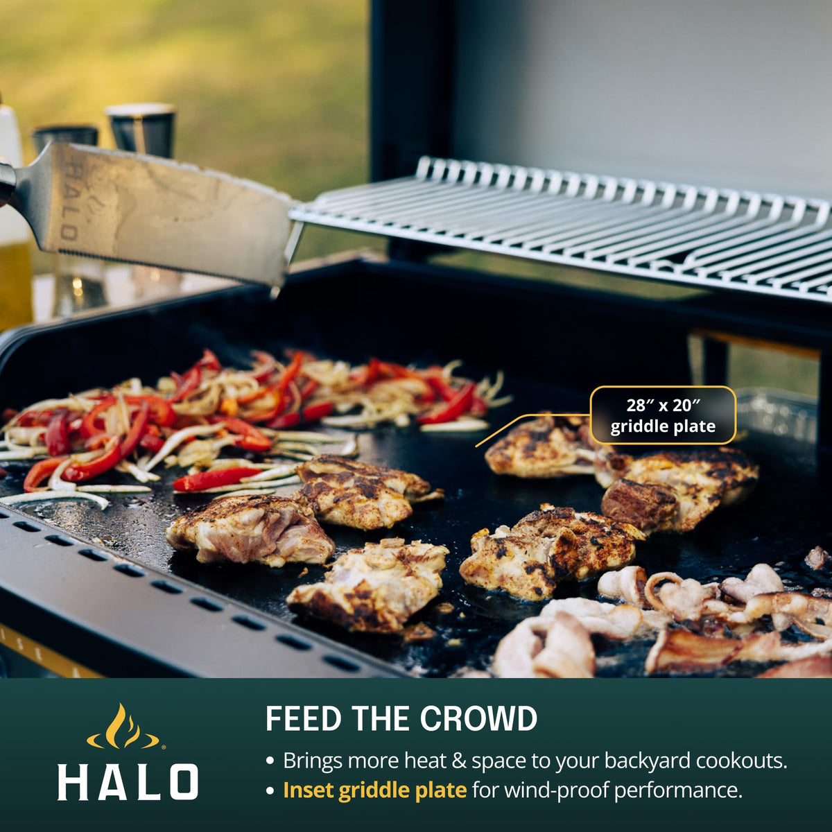 HALO Elite4B Outdoor Griddle, 4-Burner, 720 sq. in. Wind-Resistant Propane Cooking Surface