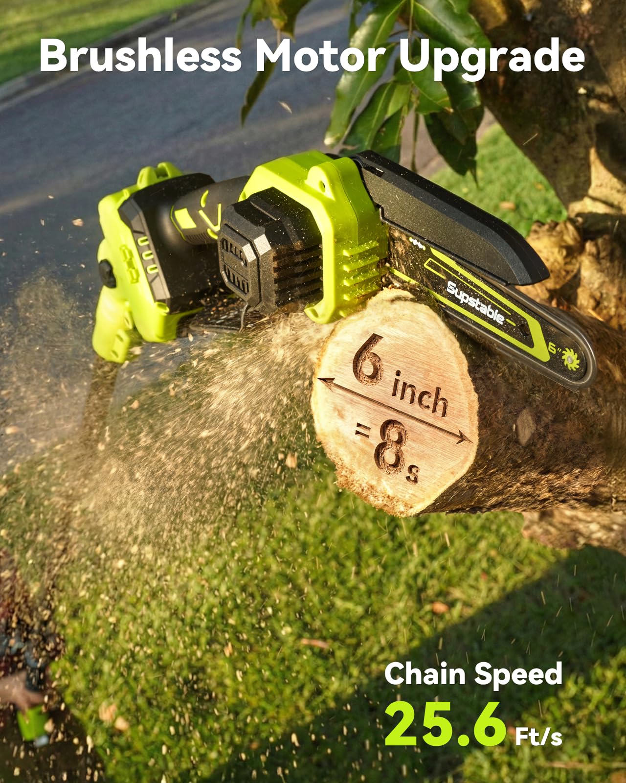Mini Chainsaw Cordless, 8 Inch & 6 Inch Electric Chainsaw Battery Powered, 1000W Brushless Handheld Power Chain Saw with 2 Batteries, Small Tree Saw for Branch Trimming Wood Cutting