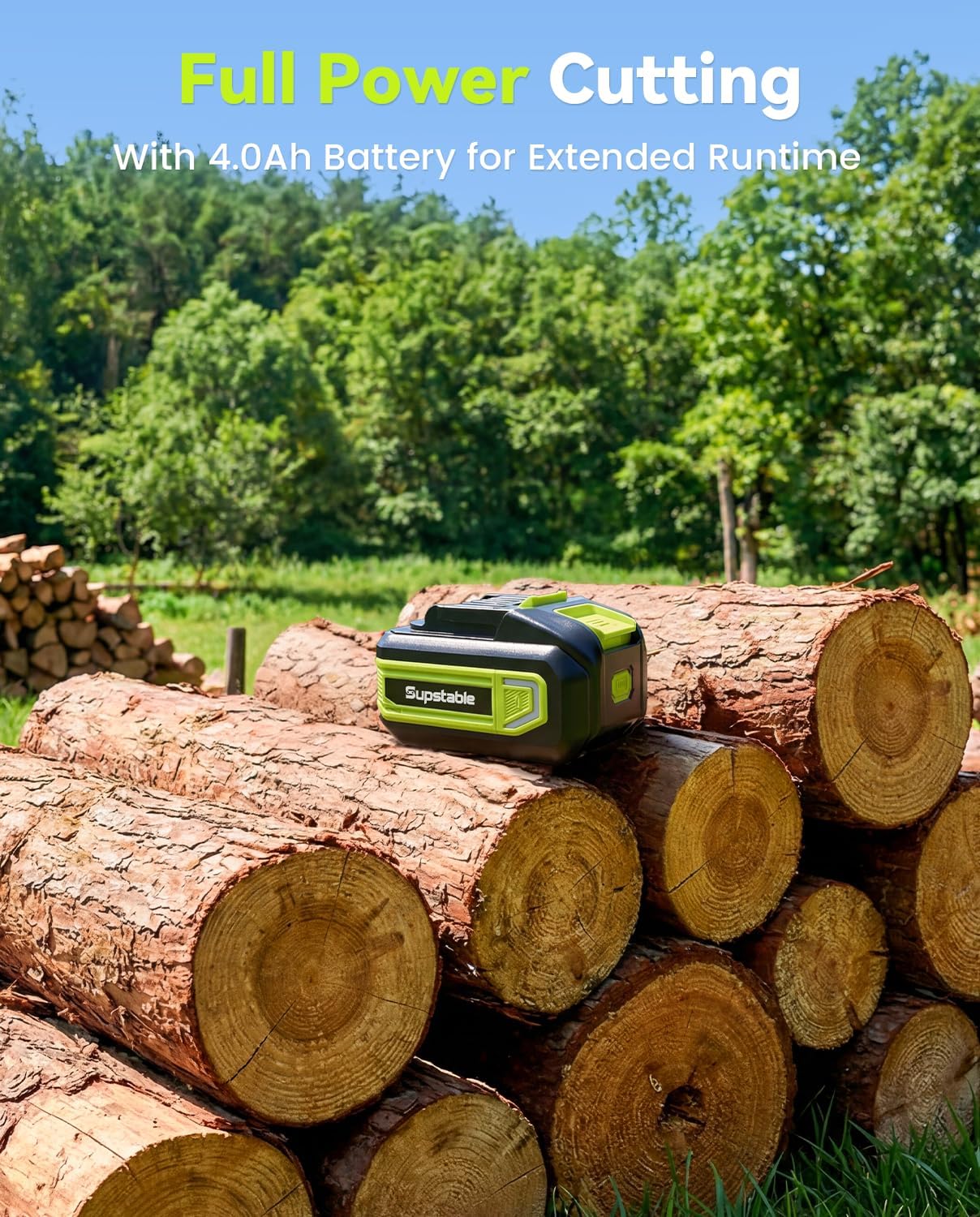 Mini Chainsaw Cordless, 8 Inch & 6 Inch Electric Chainsaw Battery Powered, 1000W Brushless Handheld Power Chain Saw with 2 Batteries, Small Tree Saw for Branch Trimming Wood Cutting