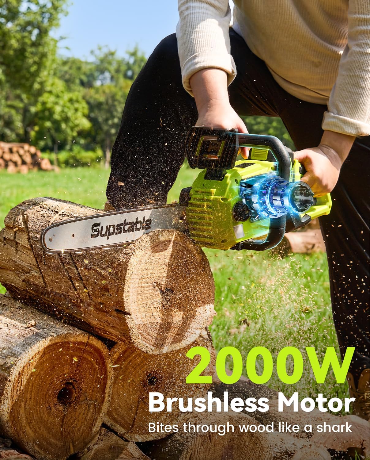 Mini Chainsaw Cordless, 8 Inch & 6 Inch Electric Chainsaw Battery Powered, 1000W Brushless Handheld Power Chain Saw with 2 Batteries, Small Tree Saw for Branch Trimming Wood Cutting