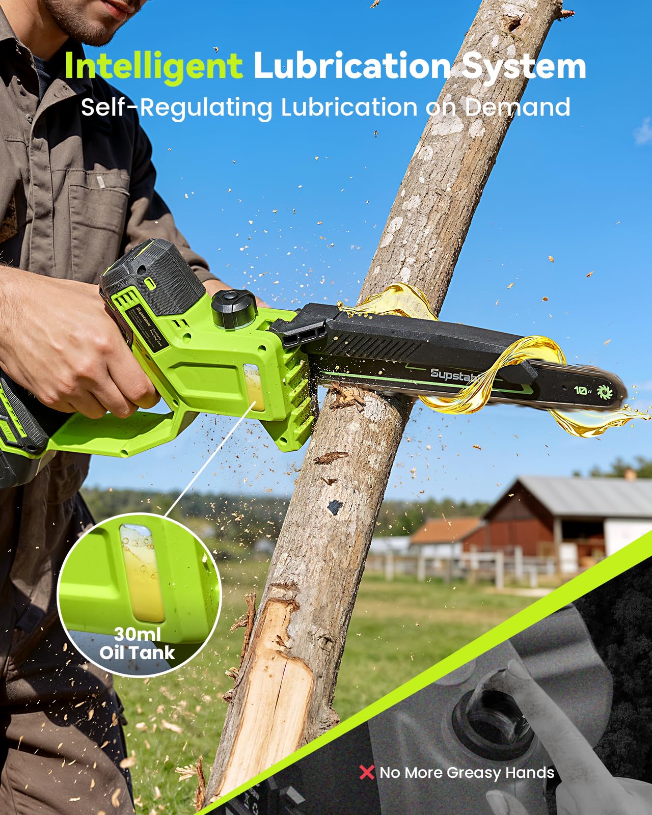 Mini Chainsaw Cordless, 8 Inch & 6 Inch Electric Chainsaw Battery Powered, 1000W Brushless Handheld Power Chain Saw with 2 Batteries, Small Tree Saw for Branch Trimming Wood Cutting