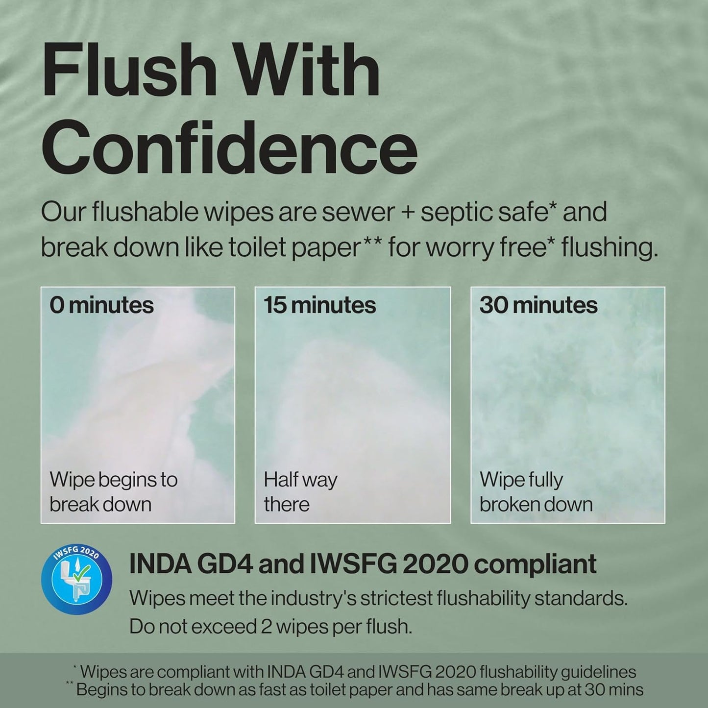 The Honest Company Hypoallergenic Flushable Wipes for Sensitive Skin, Gilded Wings, 42 Count