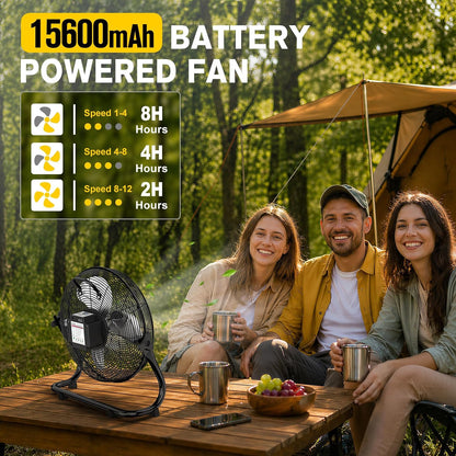 16" Solar Powered Fan with 20W Detachable Solar Panel, Black