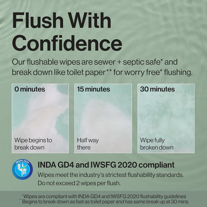 The Honest Company Hypoallergenic Flushable Wipes for Sensitive Skin, Gilded Wings, 42 Count