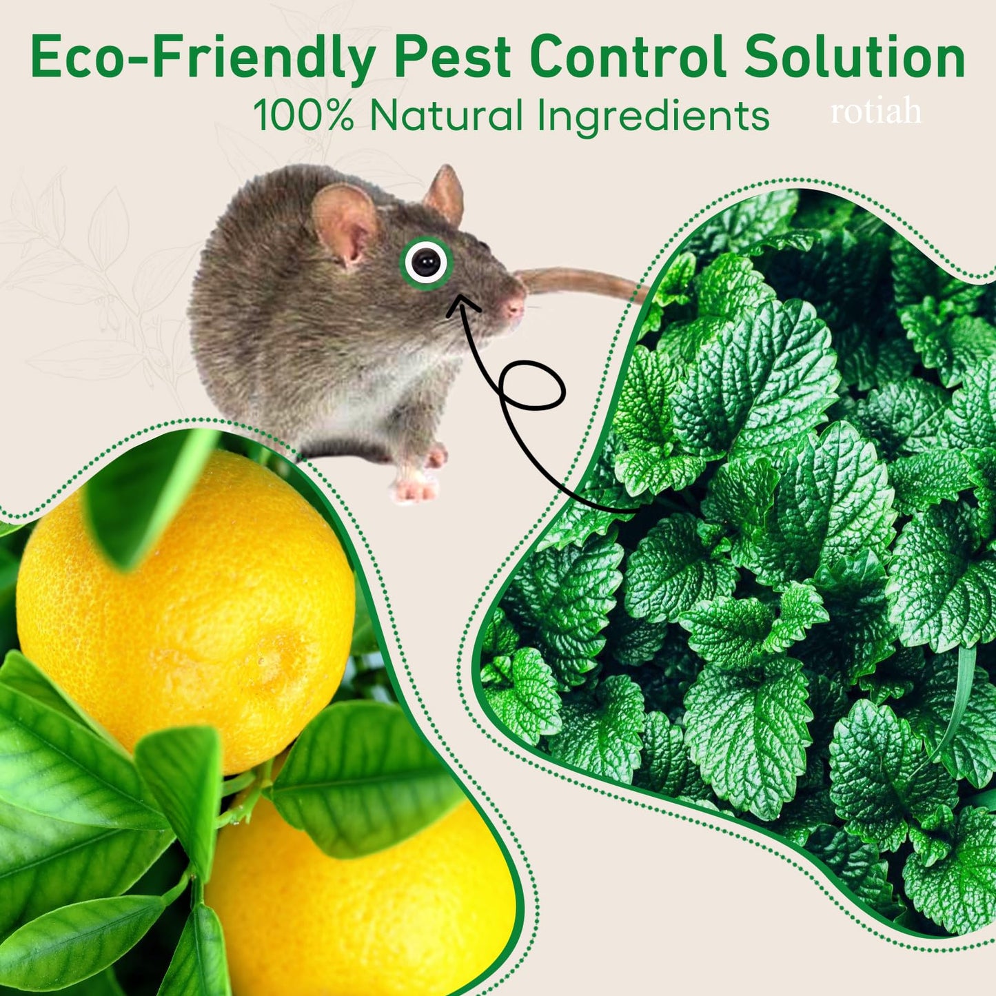 Pest Rodent Repellent,18 Pack Peppermint Oil Repellent for Mouse Rats Spider Roach Ant Squirrel Pest Control Indoor & Outdoor, Natural Mice Deterrent Replace Trap Poisoning Family & Pet Safe Green