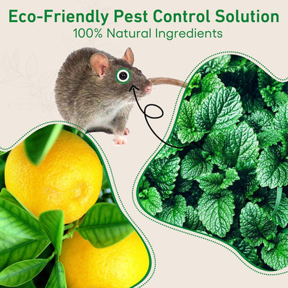 Pest Rodent Repellent,18 Pack Peppermint Oil Repellent for Mouse Rats Spider Roach Ant Squirrel Pest Control Indoor & Outdoor, Natural Mice Deterrent Replace Trap Poisoning Family & Pet Safe Green