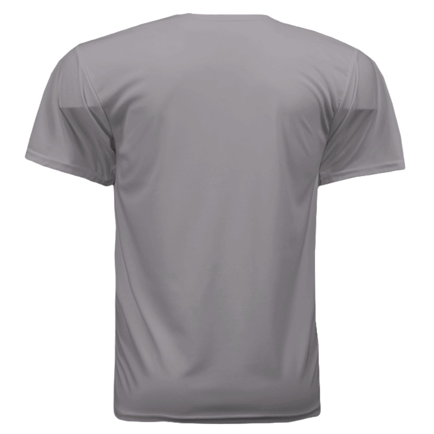 Silver - 790 - BACK