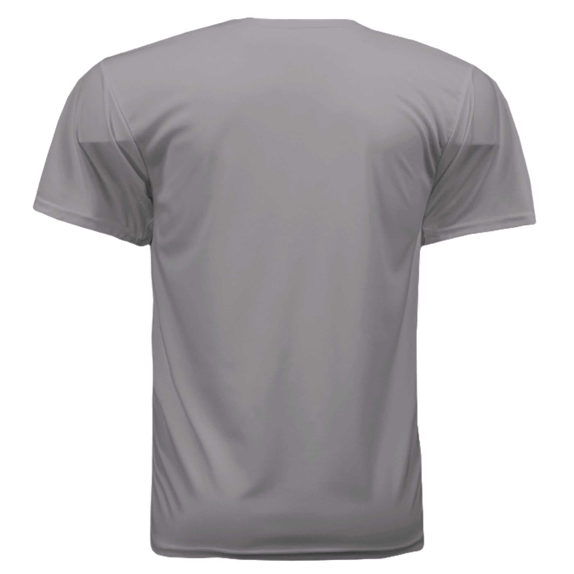 Silver - 790 - BACK